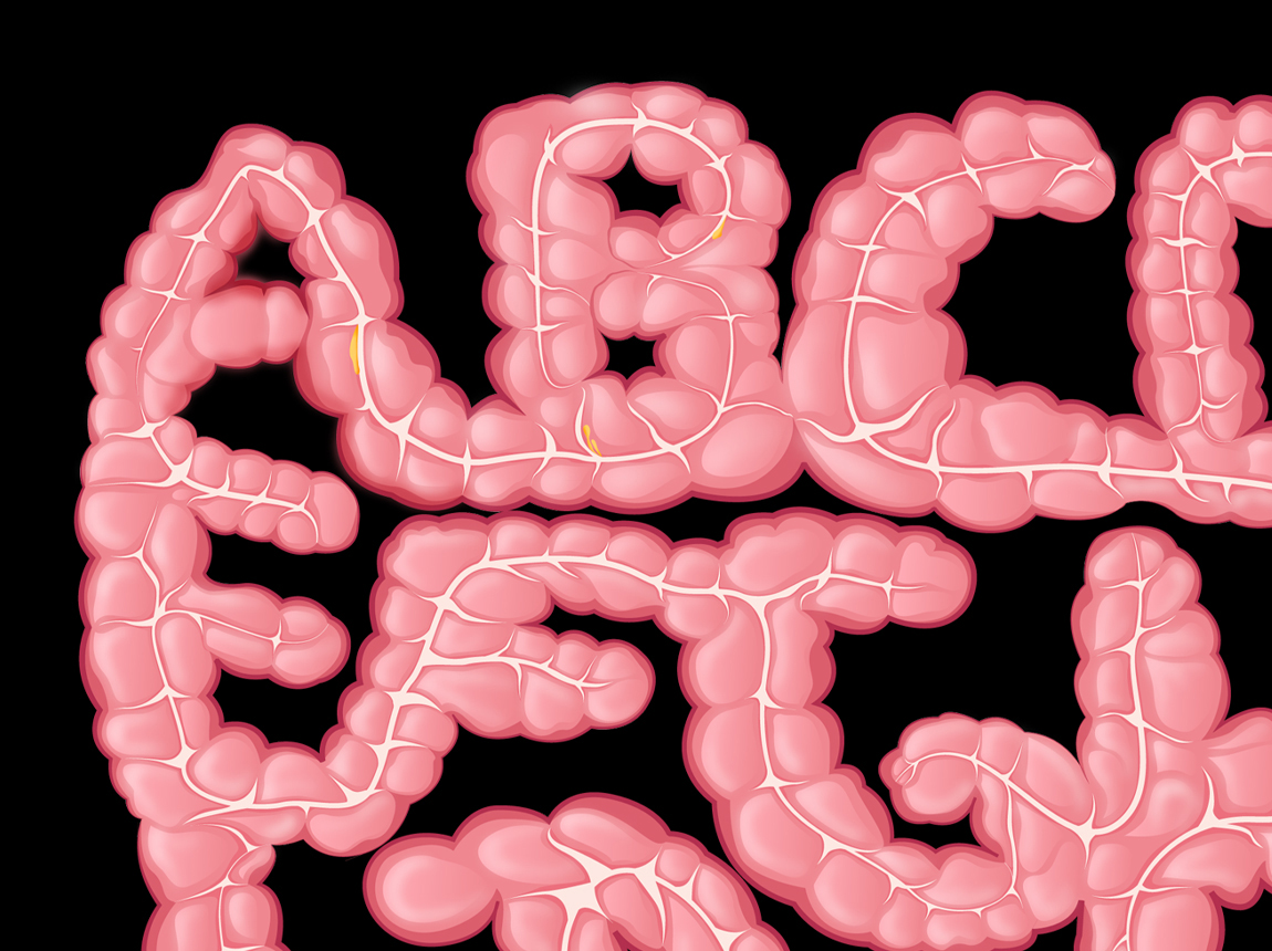 Large Intestine Font